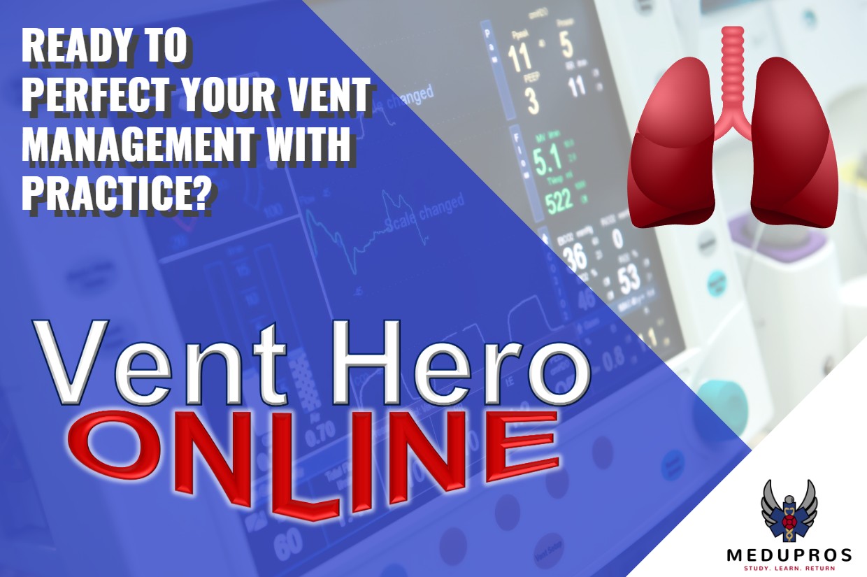 Vent Hero: Online
